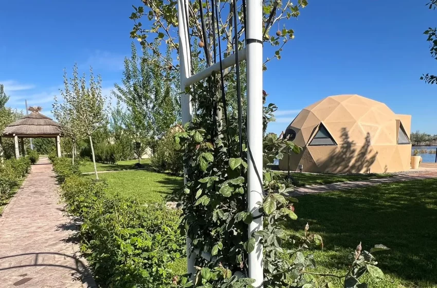  Conocé BuenaVista: un moderno glamping ubicado en Barda del Medio