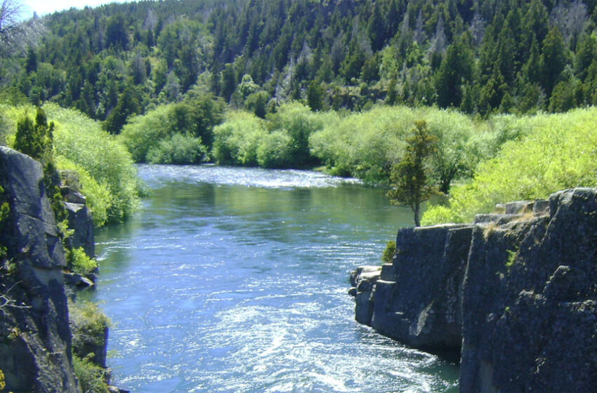  Chubut lanza la temporada de pesca del salmón del pacífico