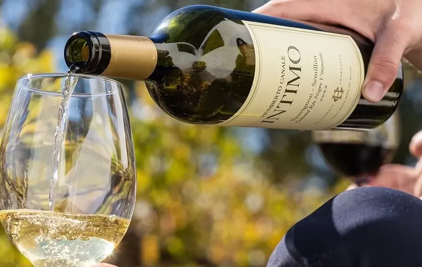  Sabores, tradición e historia: conocé los Caminos del Vino de Río Negro