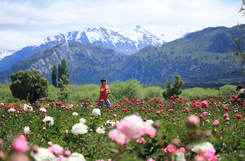  Esquel: La Paleta de Colores y Aromas de la Patagonia