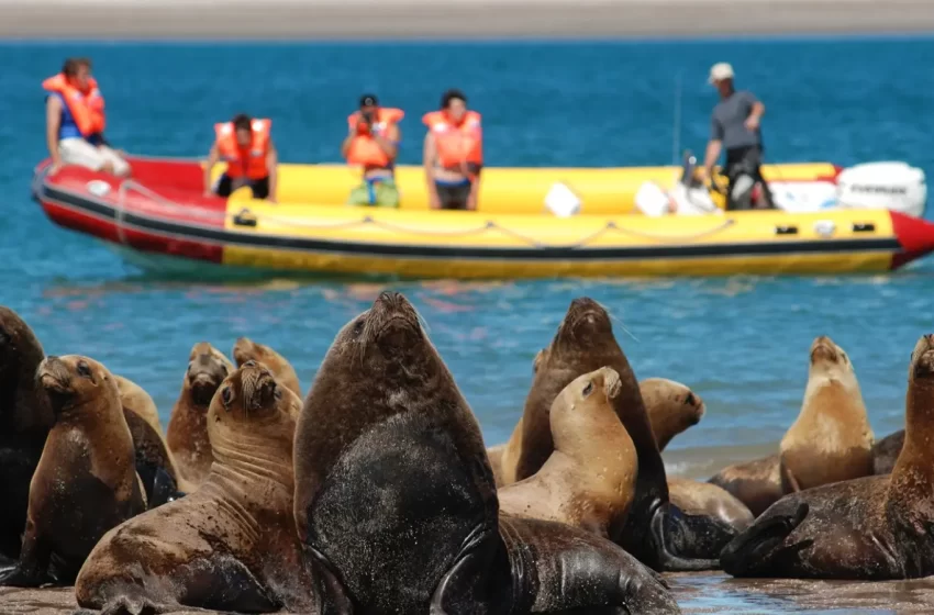  Naturaleza y aventura para disfrutar el fin semana largo en Río Negro