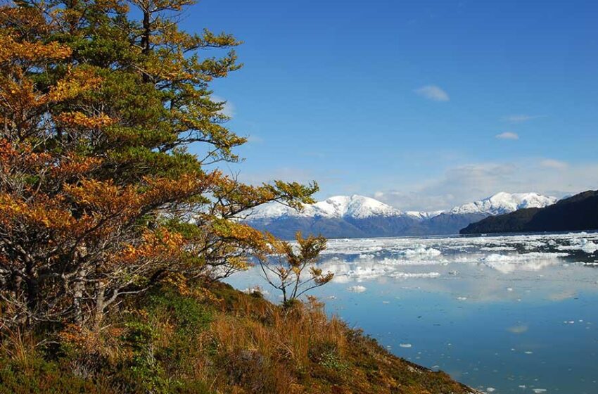  Costa Patagónica de Chile – Verano entre fiordos
