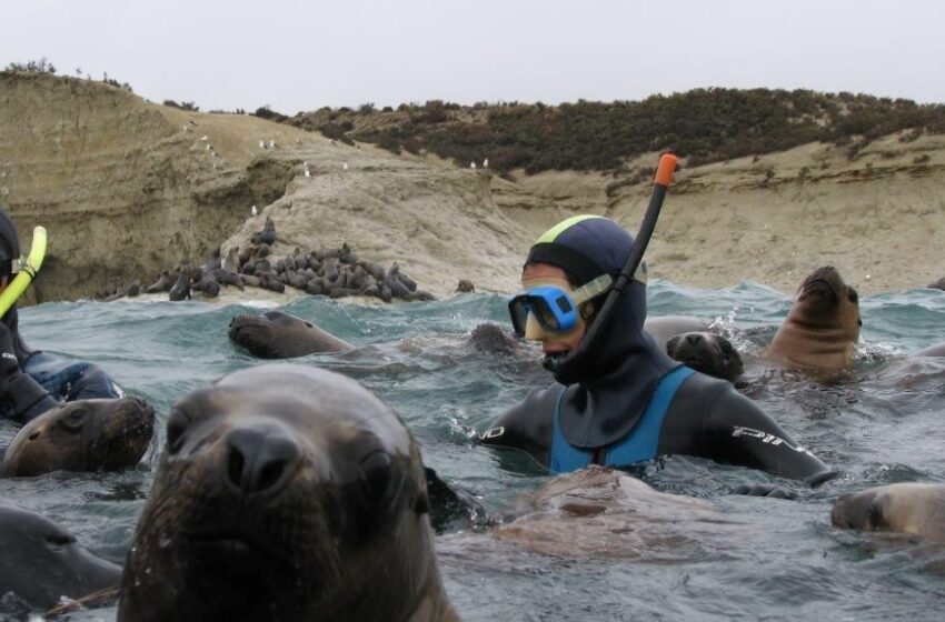  Fauna, mar y naturaleza