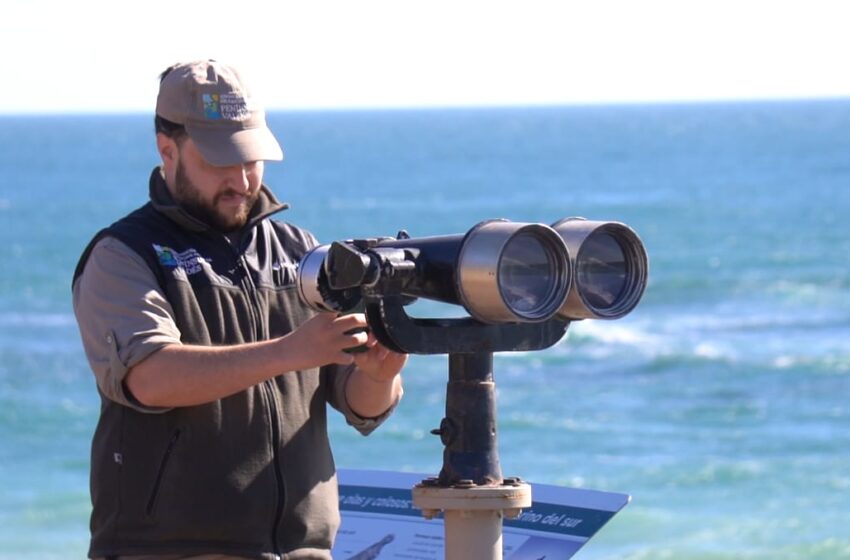  Comenzó la Temporada de Orcas en Chubut