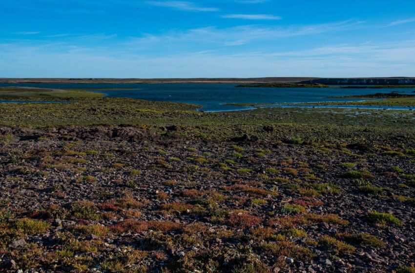  Patagonia Atlántica Sur: Puerto Deseado · Parque Marino · Isla Pingüino