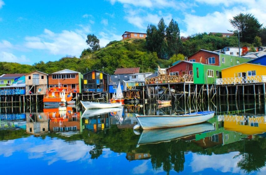  Fauna marina y conservación en Chiloé
