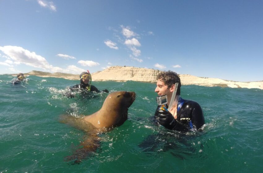  Puerto Madryn