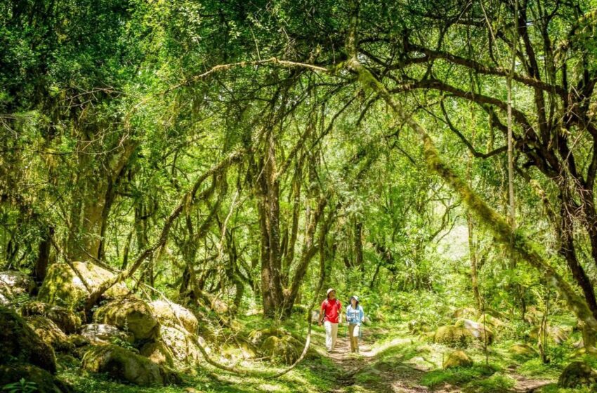  Comarca Andina – Experiencias Inolvidables