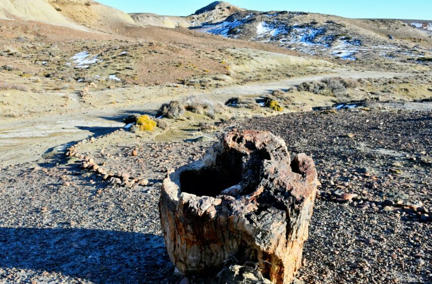  La Municipalidad de Sarmiento proyecta la reapertura de senderos históricos y astroturismo en el Bosque Petrificado