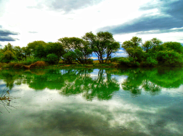  SARMIENTO: Naturaleza, lago y millones de años de historia