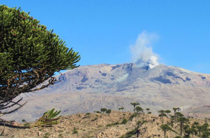  COPAHUE